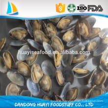 100% wild natural new season frozen boiled baby clam